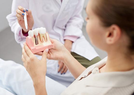 Dentist pointing to a dental implant model a patient is holding